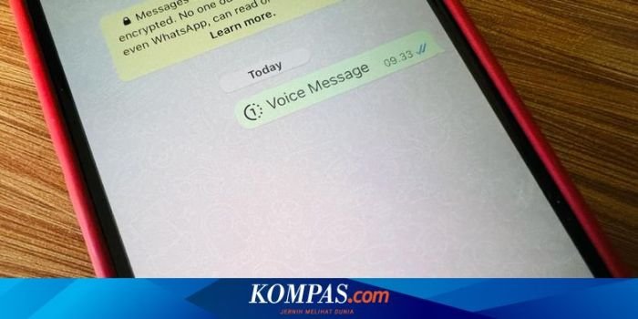 WhatsApp Tambah Fitur “Voice Note View Once” untuk Privasi Ekstra
